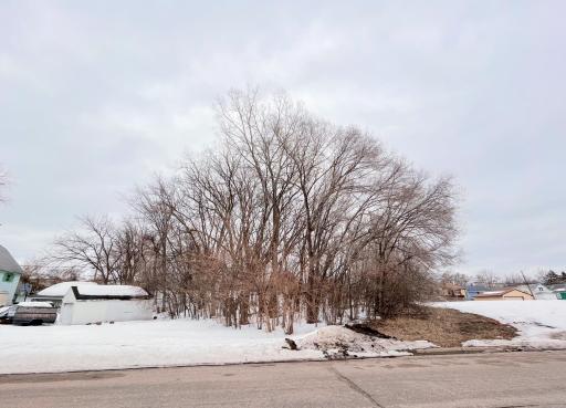 Street view of lot from Mackubin Street.