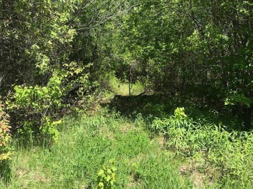 591 62nd Street, Lino Lakes, MN 55014