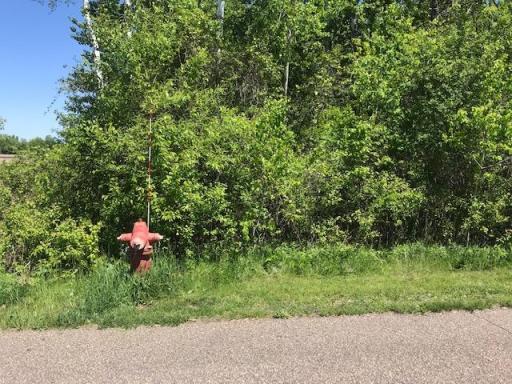 591 62nd Street, Lino Lakes, MN 55014
