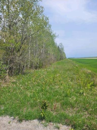 Photo for TBD 48th Street NW, Williams, MN 56686 - Listing #6377826 TBD 48th Street NW, Williams, MN 56686