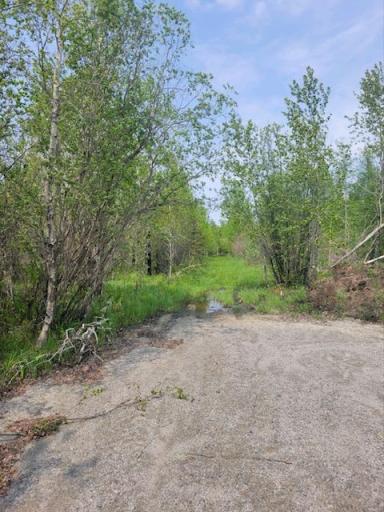 Photo for TBD 48th Street NW, Williams, MN 56686 - Listing #6377826 TBD 48th Street NW, Williams, MN 56686