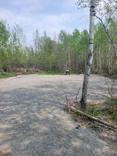 Photo for TBD 48th Street NW, Williams, MN 56686 - Listing #6377826 TBD 48th Street NW, Williams, MN 56686