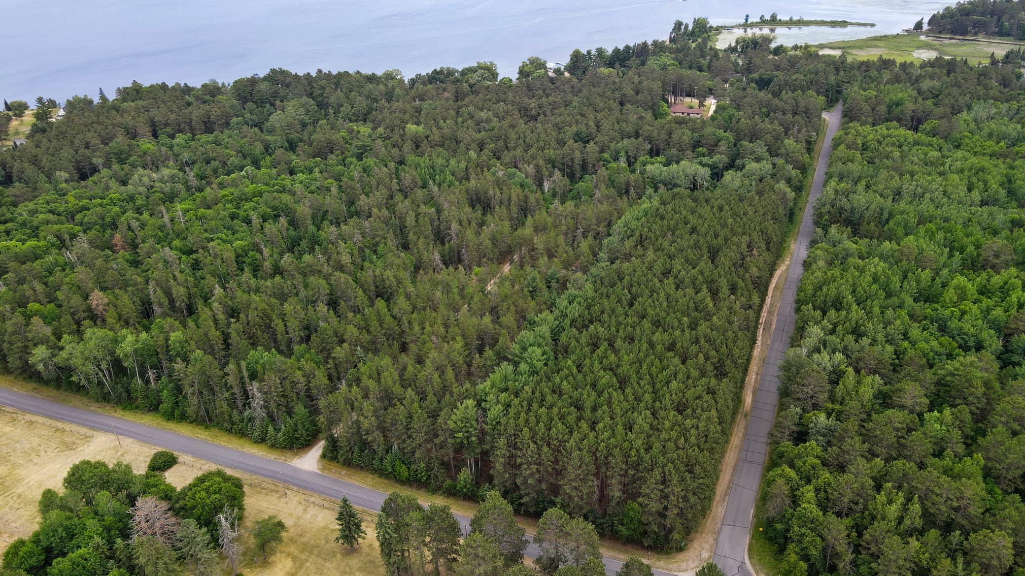 Undeveloped land.jpg