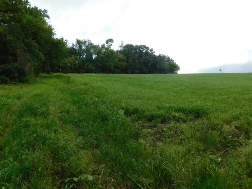 S1557 County Road CC, Independence, WI 54747