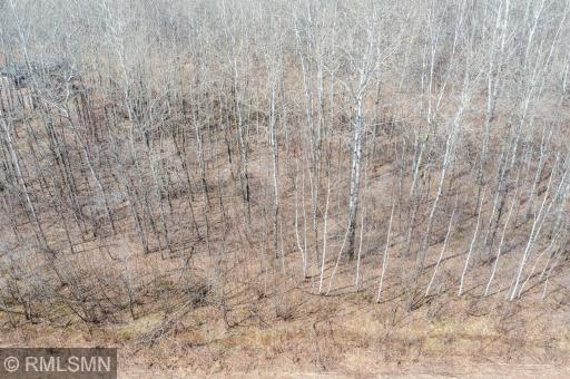 Lot on Taylor Birch Rd Hinkley-19