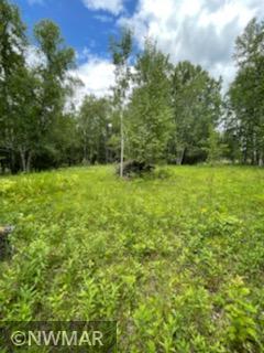 tbd 13th Avenue SW, Baudette, MN 56623