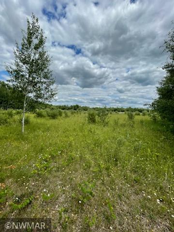 Photo for tbd 13th Avenue SW, Baudette, MN 56623 - Listing #6022852 tbd 13th Avenue SW, Baudette, MN 56623