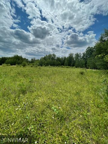 Photo for tbd 13th Avenue SW, Baudette, MN 56623 - Listing #6022852 tbd 13th Avenue SW, Baudette, MN 56623