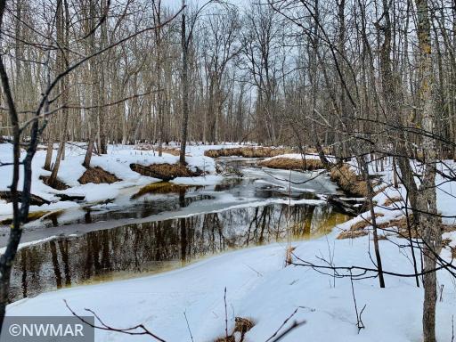 Photo for tbd 13th Avenue SW, Baudette, MN 56623 - Listing #6022852 tbd 13th Avenue SW, Baudette, MN 56623
