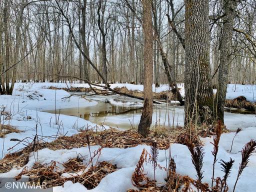 Photo for tbd 13th Avenue SW, Baudette, MN 56623 - Listing #6022852 tbd 13th Avenue SW, Baudette, MN 56623