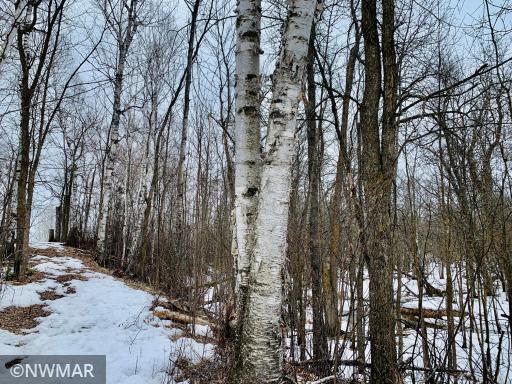Photo for tbd 13th Avenue SW, Baudette, MN 56623 - Listing #6022852 tbd 13th Avenue SW, Baudette, MN 56623