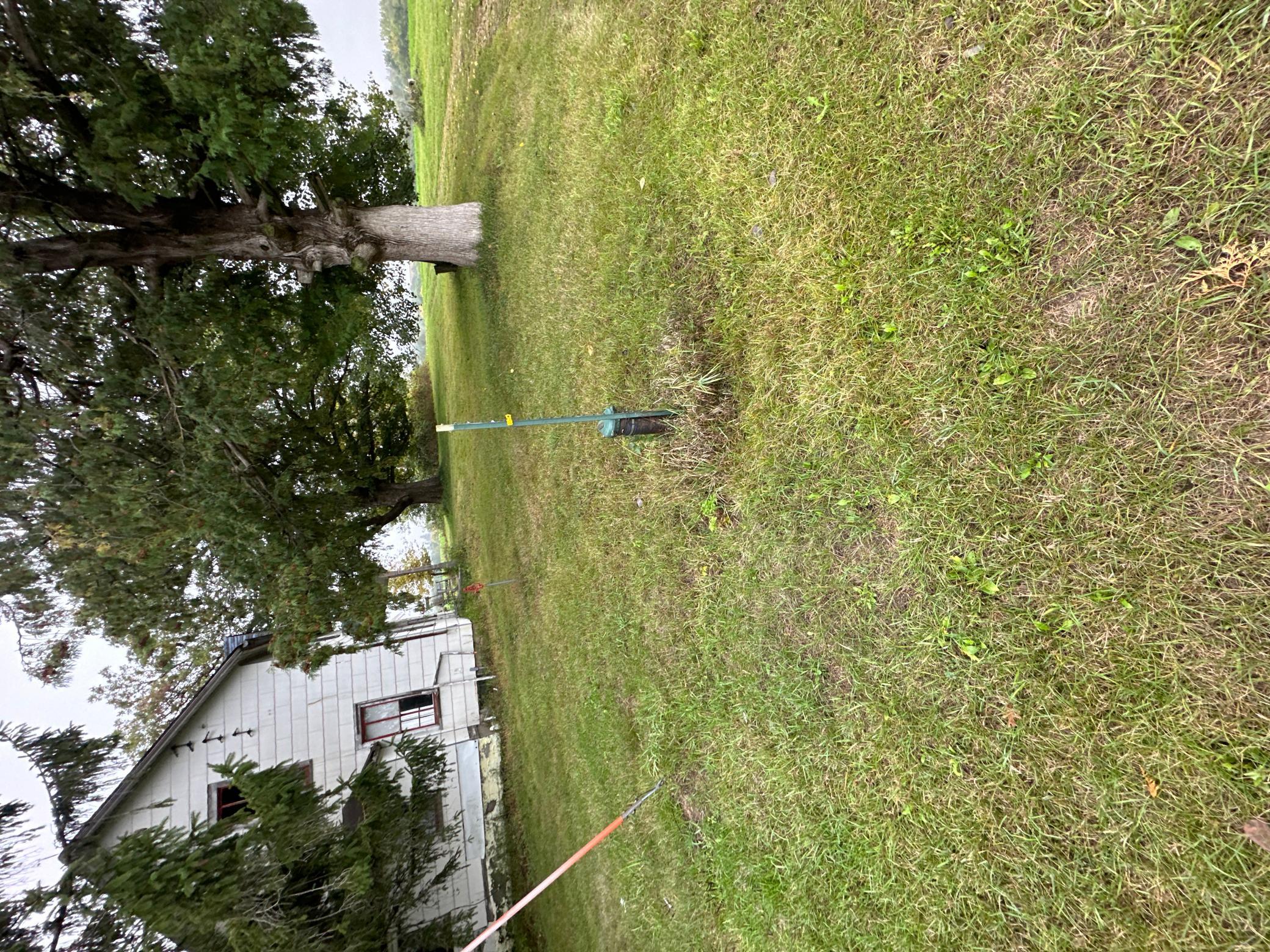 IMG_5209.JPG
