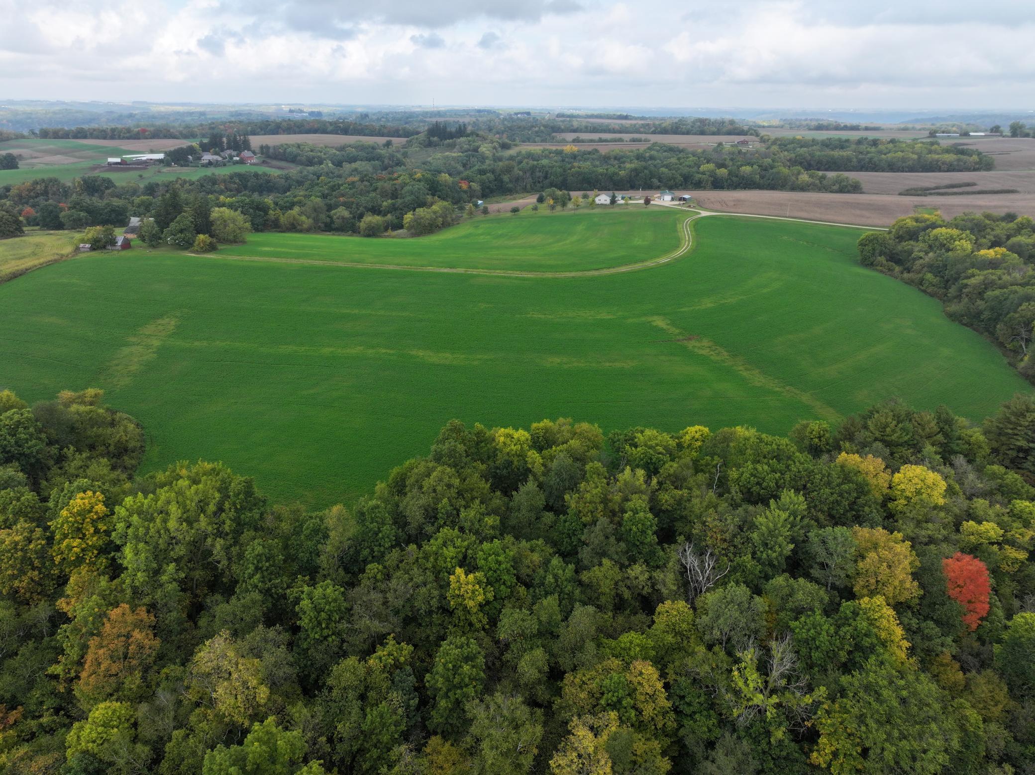DJI_20230928110050_0075_D.JPG