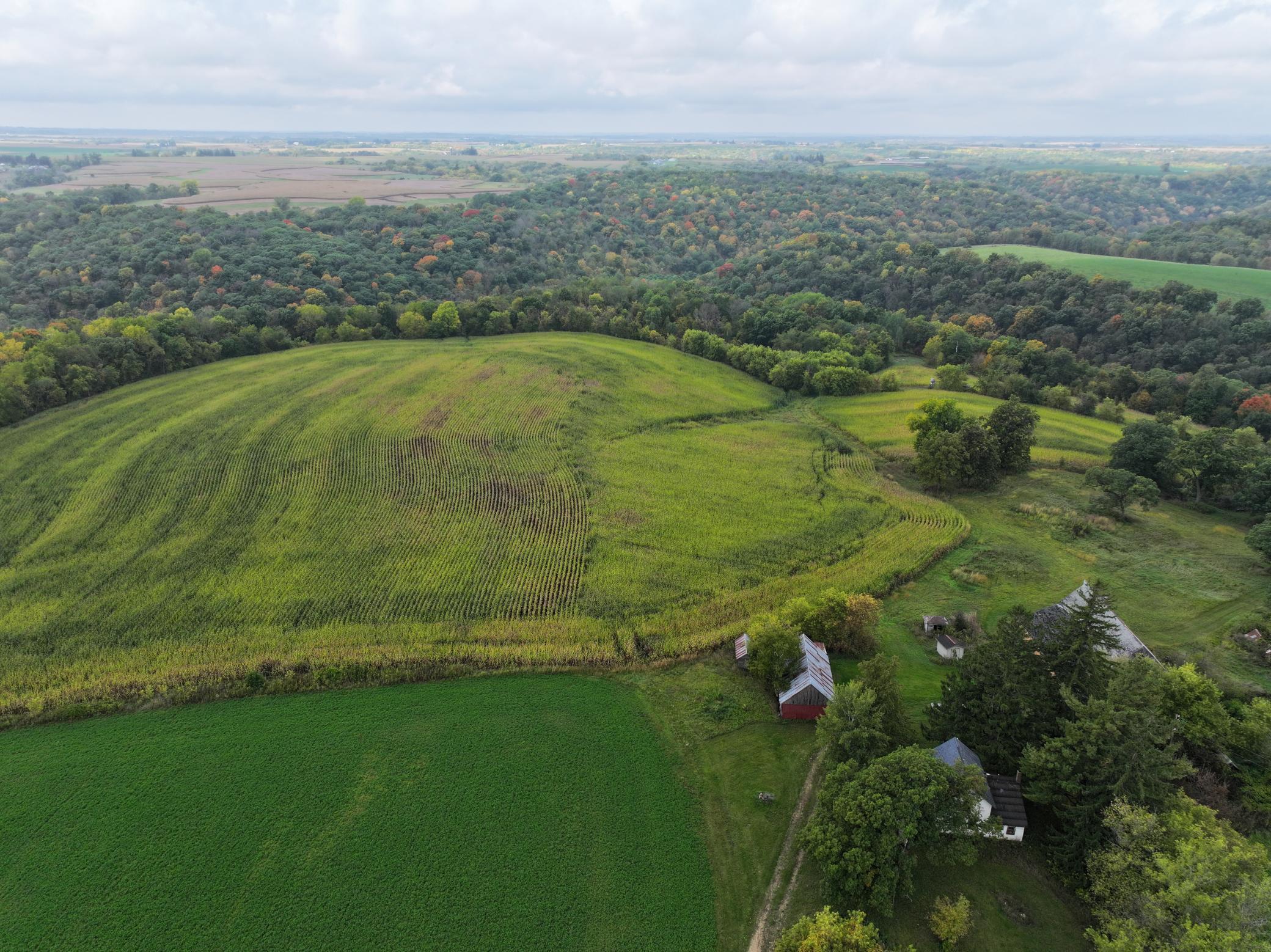 DJI_20230928110007_0073_D.JPG
