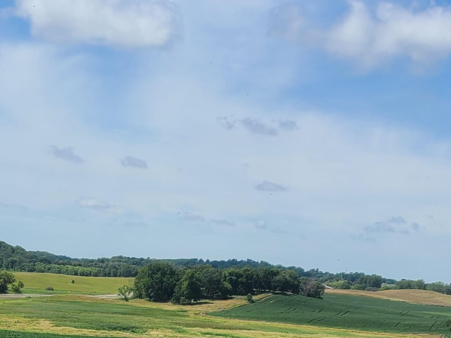 View of land from Cross Point Rd .jpg