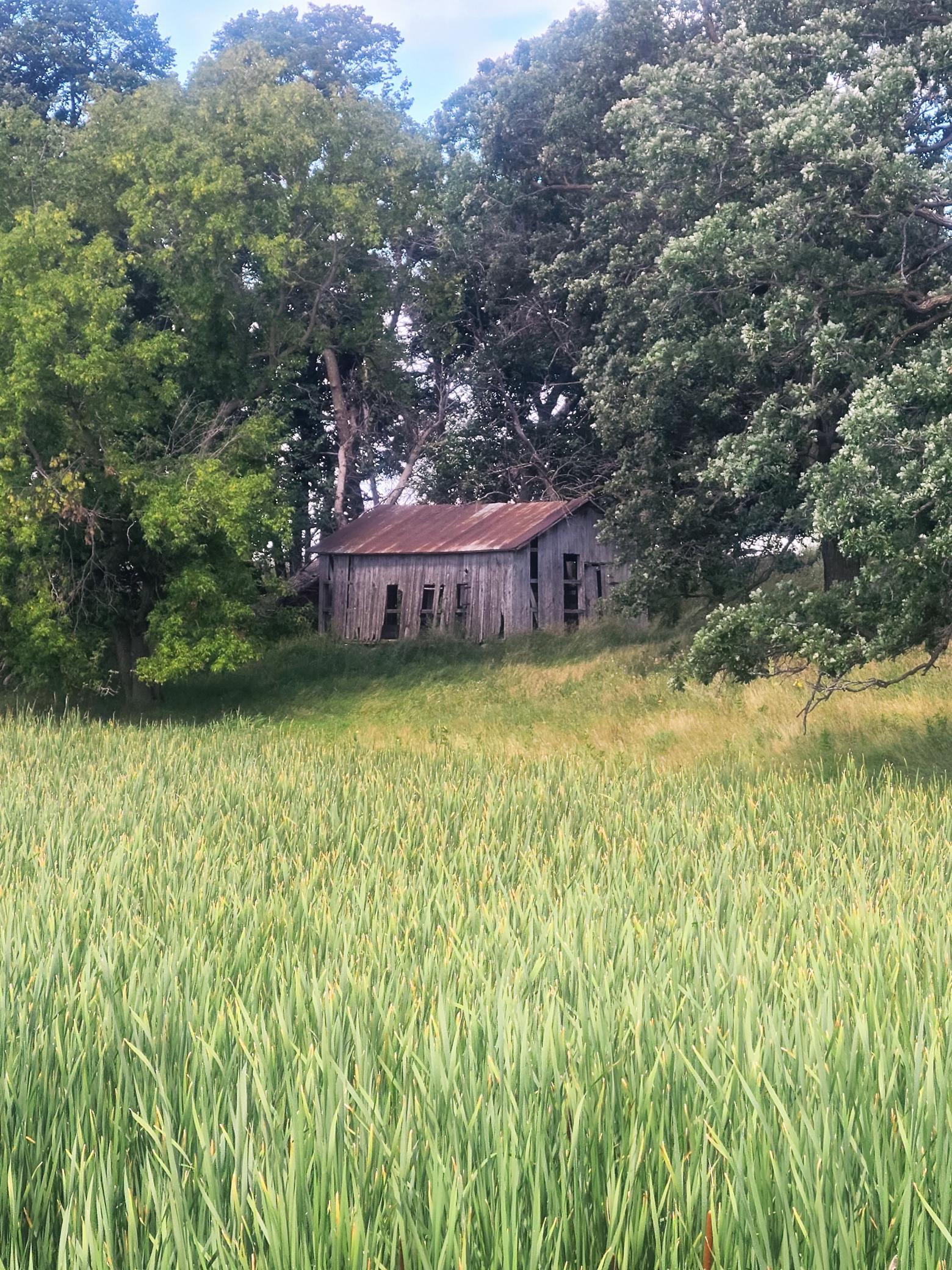 Old Barn view 2.jpg