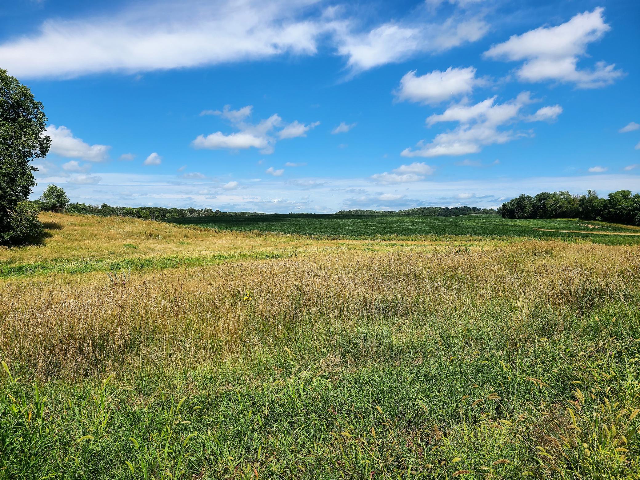 View from Co Hwy 3 - East end of property.jpg