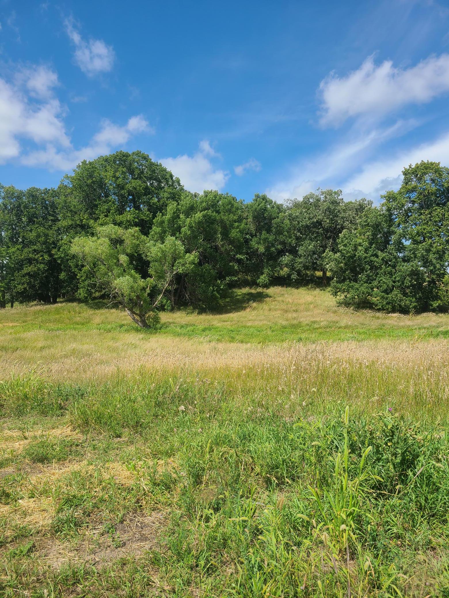 Wooded acres.jpg