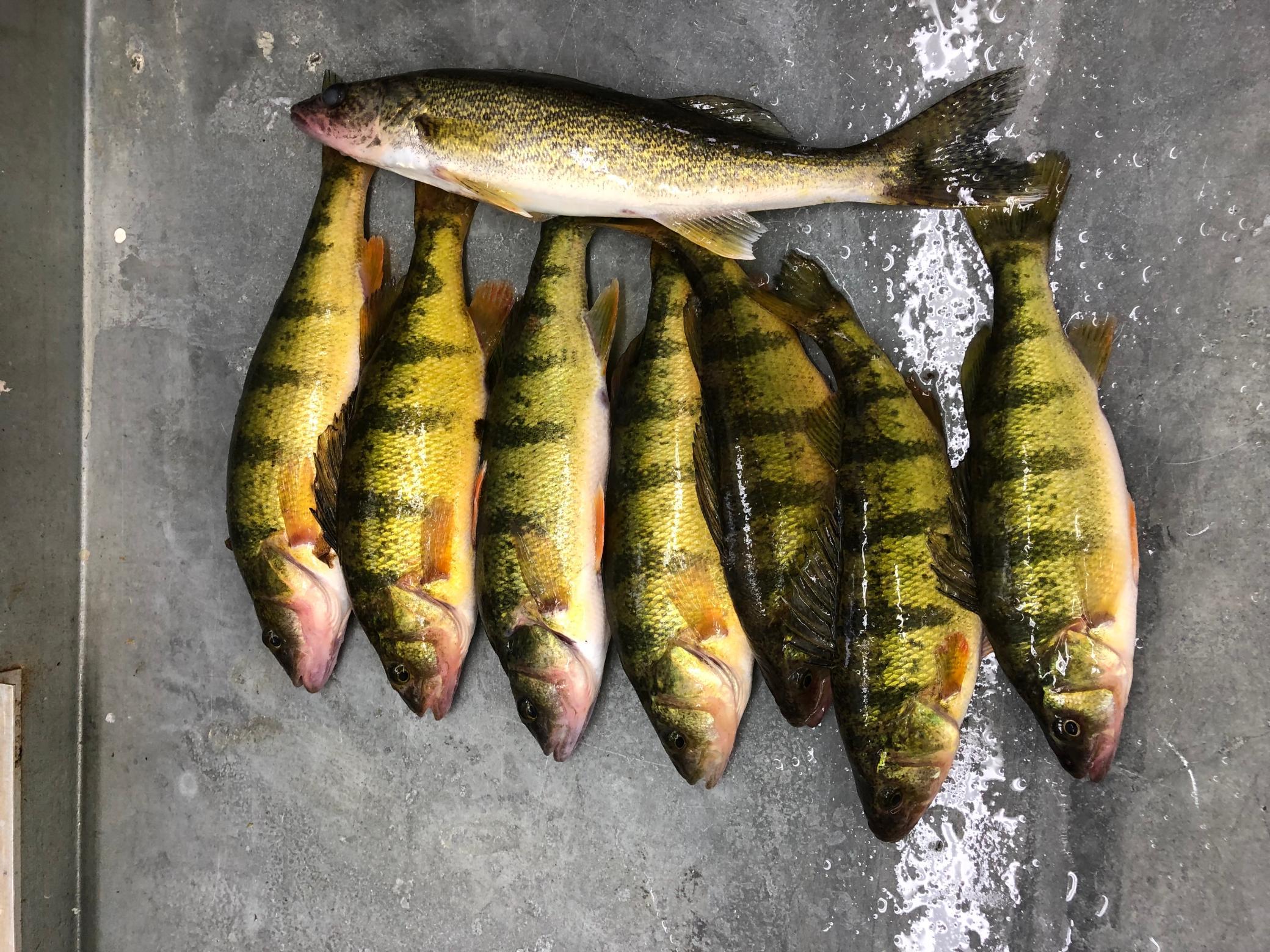 Homes for Sale CENTURY 21 Dickinson Realtors