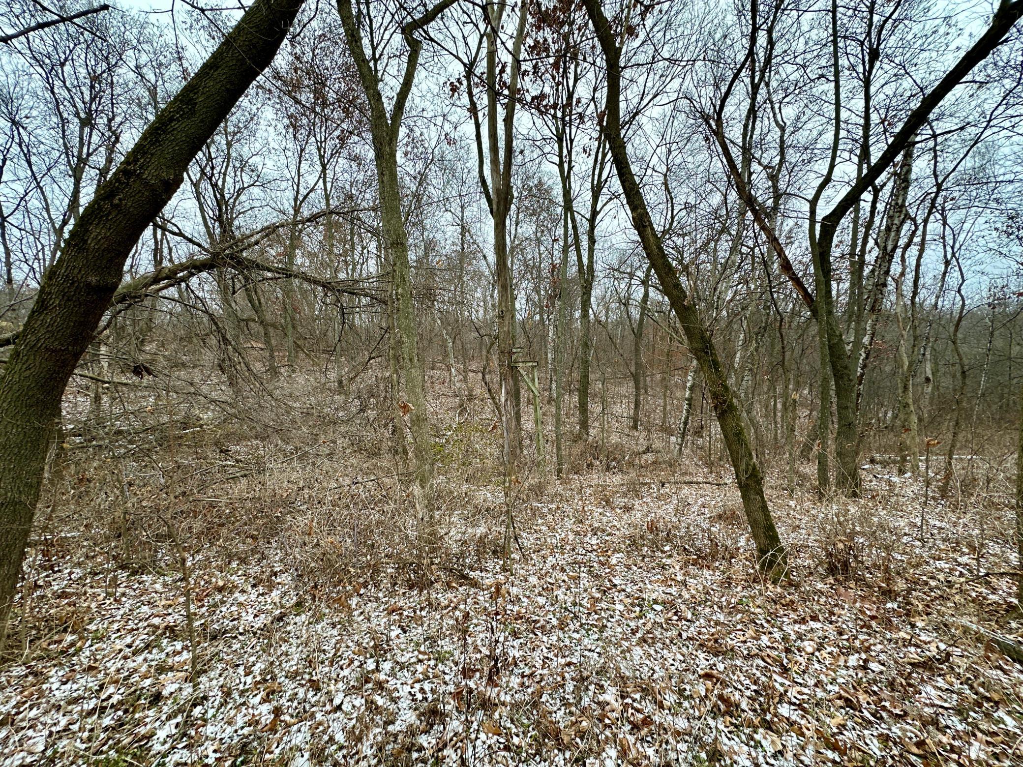 IMG_6558.JPG