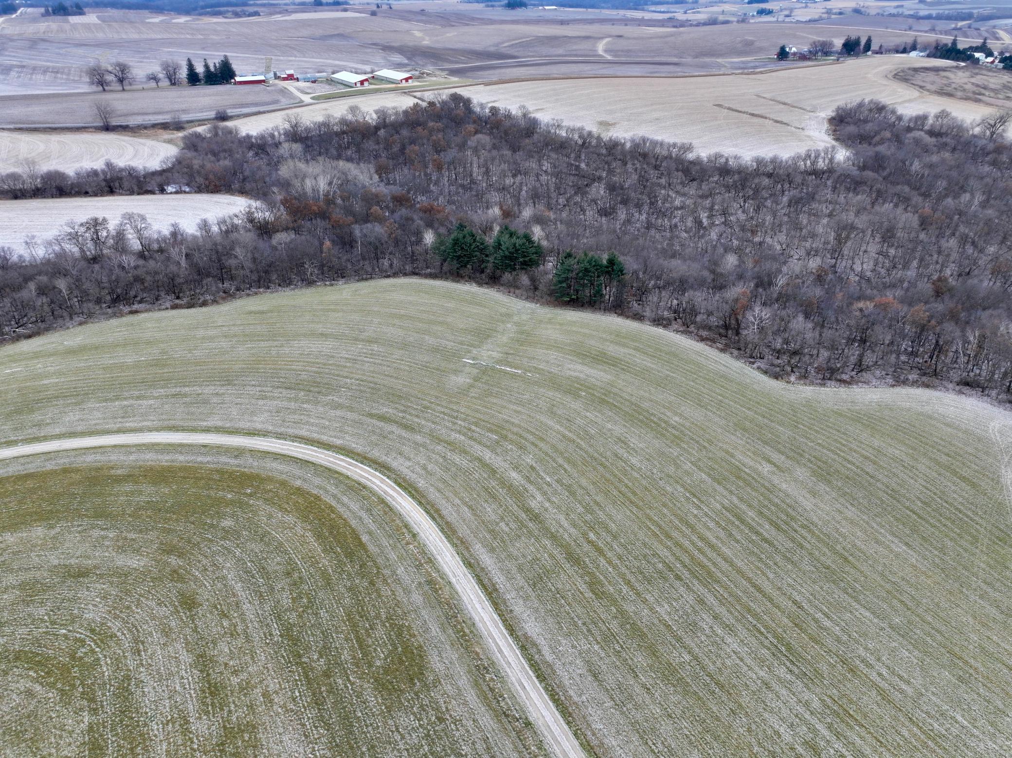 DJI_20231210113402_0164_D.JPG
