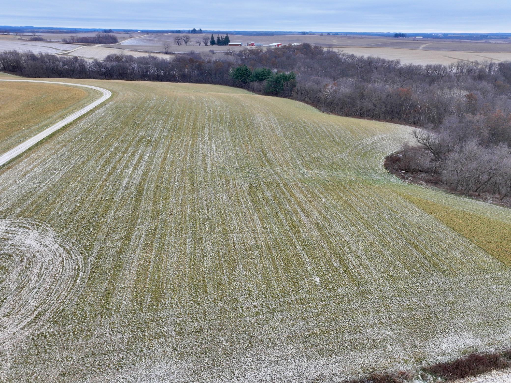 DJI_20231210113311_0160_D.JPG