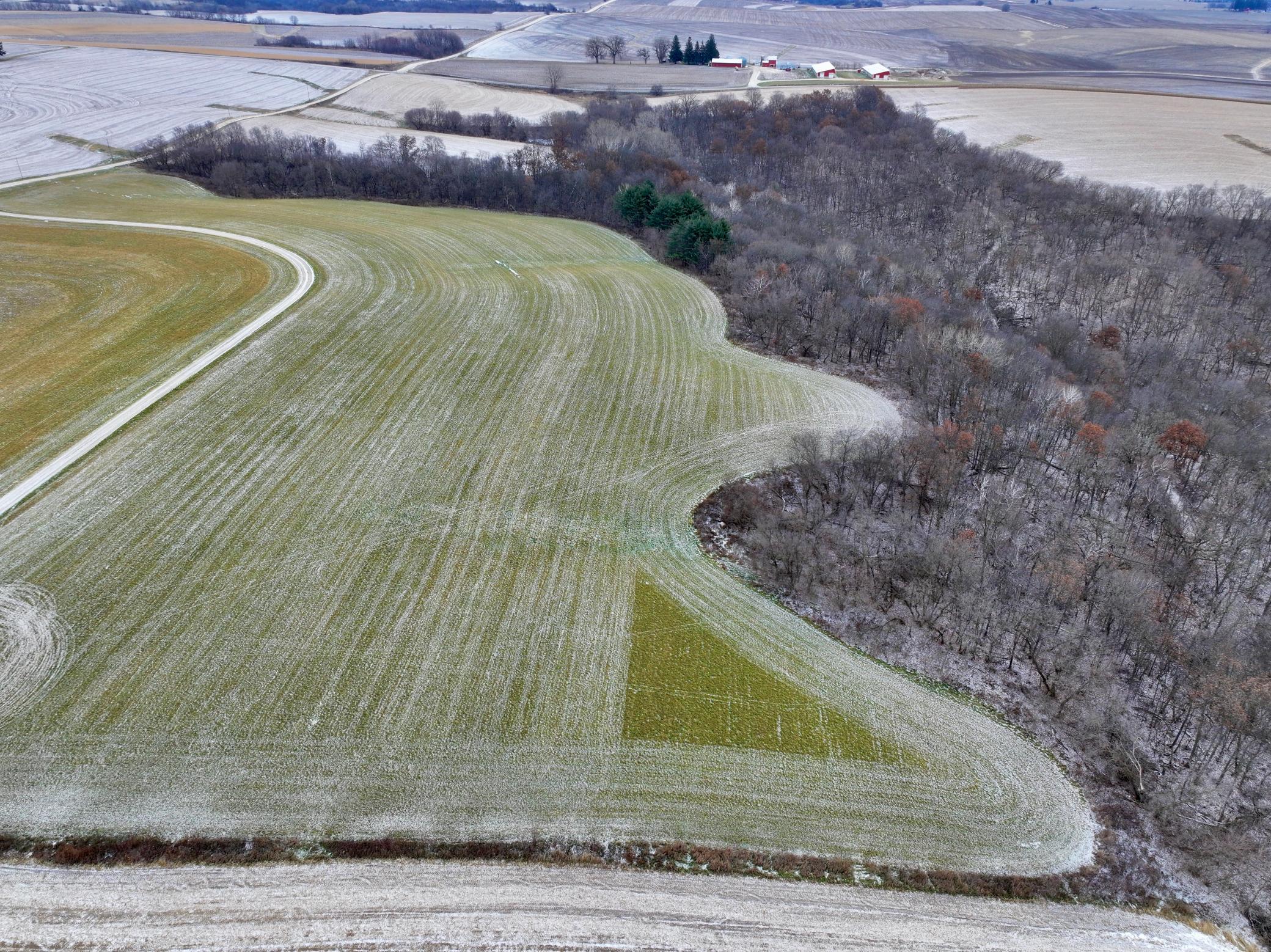DJI_20231210113322_0161_D.JPG
