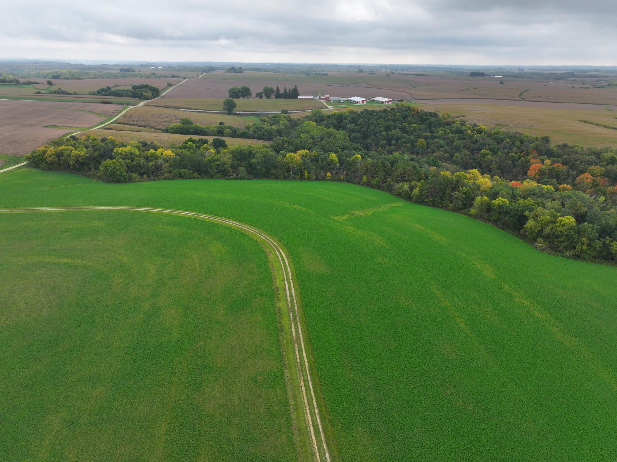 DJI_20230928105959_0072_D.JPG