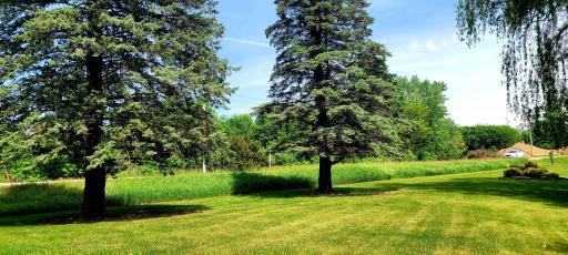 XXX Country Club Road, Albert Lea, MN 56007