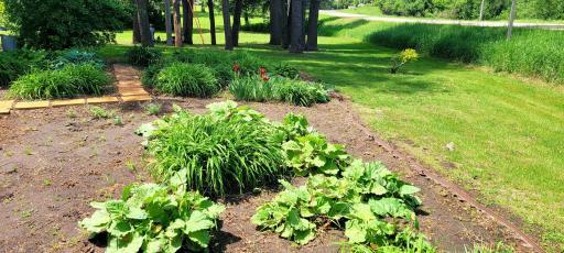 XXX Country Club Road, Albert Lea, MN 56007