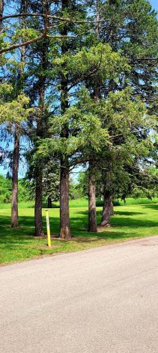 XXX Country Club Road, Albert Lea, MN 56007