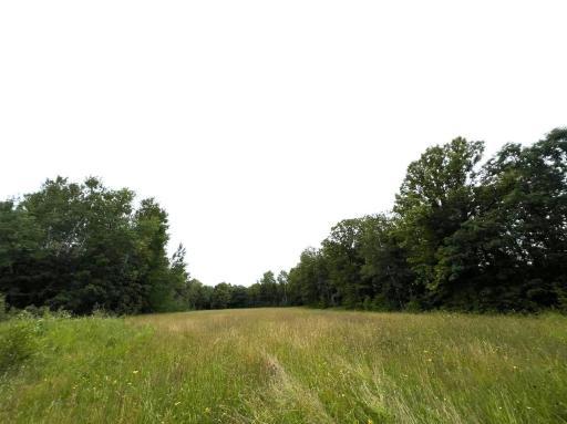 Photo for TBD County Road 89, Park Rapids, MN 56470 - Listing #6243881 TBD County Road 89, Park Rapids, MN 56470