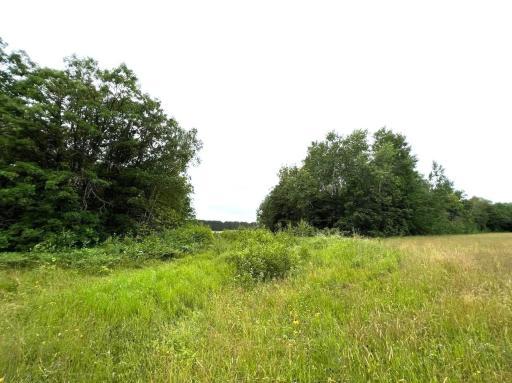 Photo for TBD County Road 89, Park Rapids, MN 56470 - Listing #6243881 Access road coming in from West side of lot.jpg