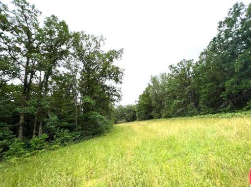 Photo for TBD County Road 89, Park Rapids, MN 56470 - Listing #6243881 TBD County Road 89, Park Rapids, MN 56470