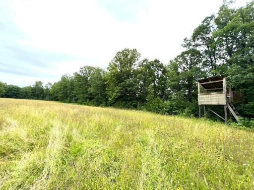 Photo for TBD County Road 89, Park Rapids, MN 56470 - Listing #6243881 TBD County Road 89, Park Rapids, MN 56470
