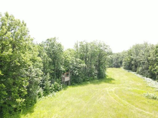 TBD County Road 89, Park Rapids, MN 56470