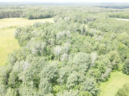 TBD County Road 89, Park Rapids, MN 56470