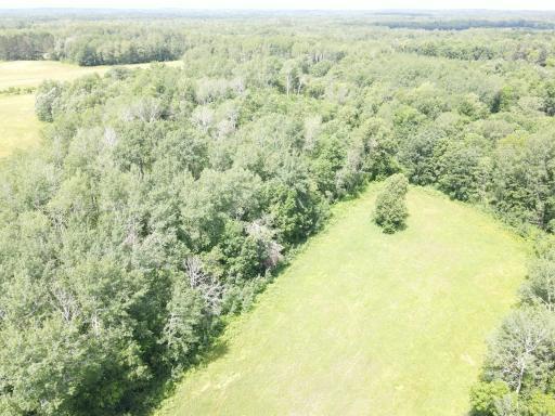 TBD County Road 89, Park Rapids, MN 56470