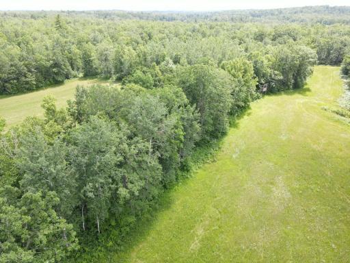 TBD County Road 89, Park Rapids, MN 56470