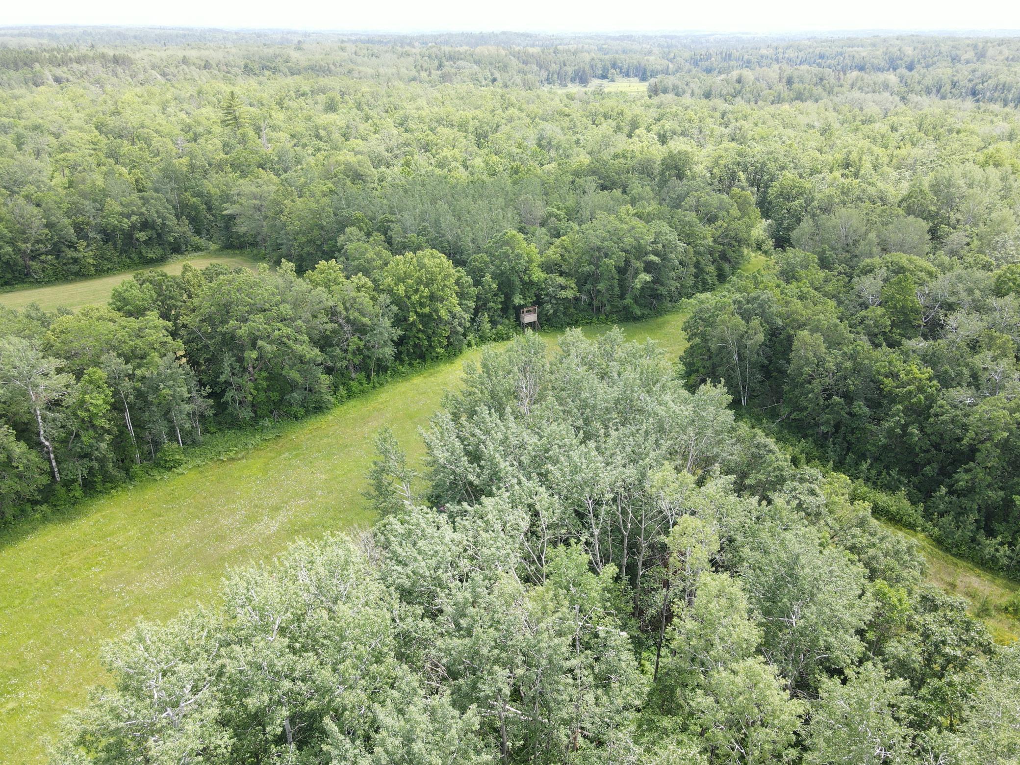 TBD County Road 89, Park Rapids, MN 56470