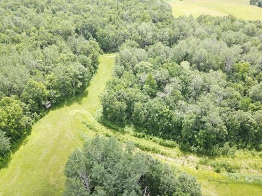 TBD County Road 89, Park Rapids, MN 56470