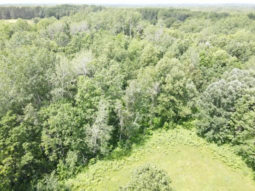 TBD County Road 89, Park Rapids, MN 56470