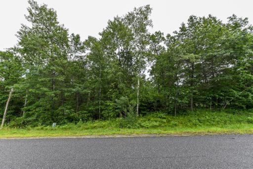 TBD Eagle Lane, Breezy Point, MN 56472