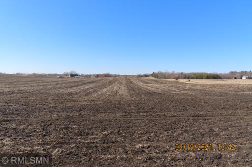xxx Dempsey Avenue NW, Buffalo, MN 55313