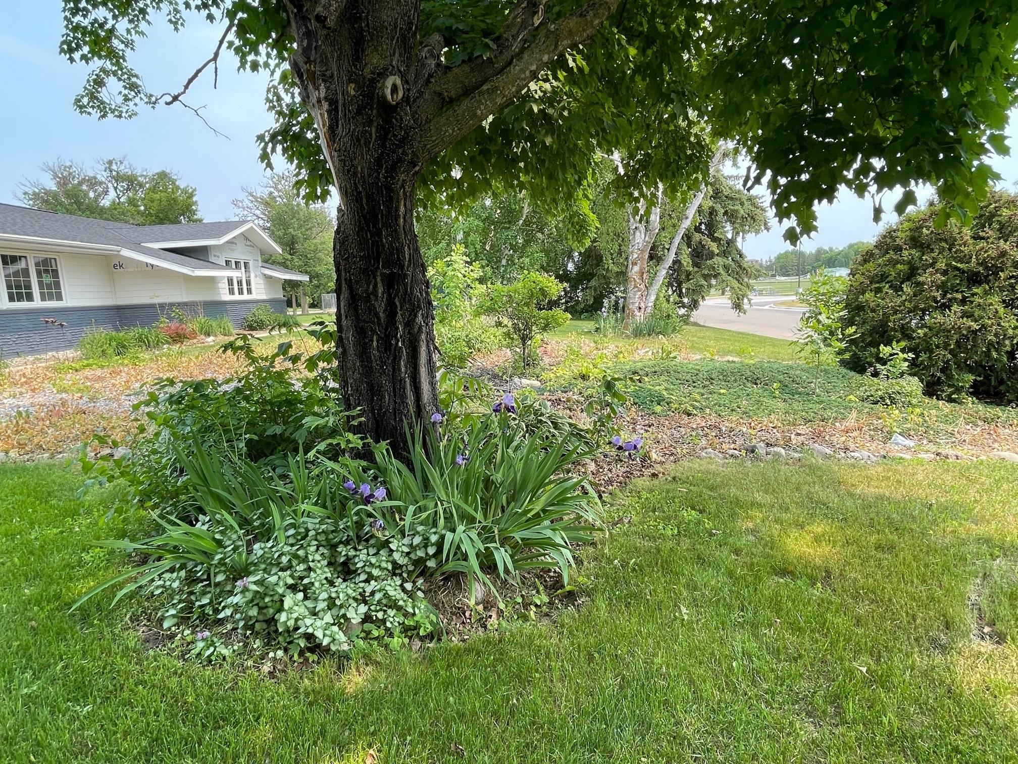 Photo for 505 6th Street NE, Roseau, MN 56751 - Listing #6415897 505 6th Street NE, Roseau, MN 56751