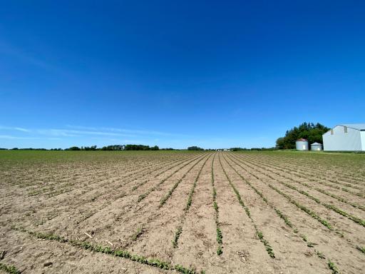 Photo for xxxx County 12, Spring Valley, MN 55975 - Listing #6222908 xxxx County 12, Spring Valley, MN 55975
