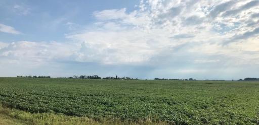 XXX 220th Avenue SW, Appleton, MN 56208