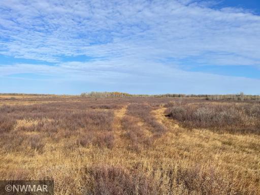 TBD 240th Street NW, Newfolden, MN 56738