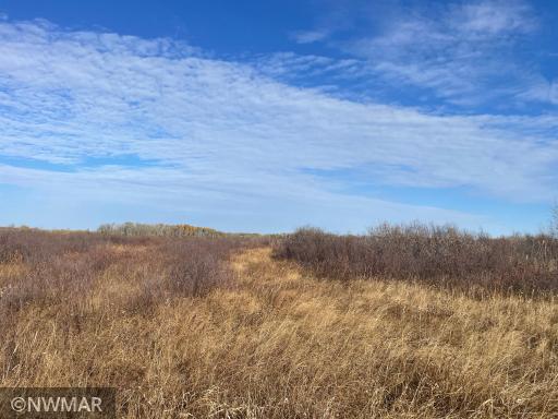TBD 240th Street NW, Newfolden, MN 56738