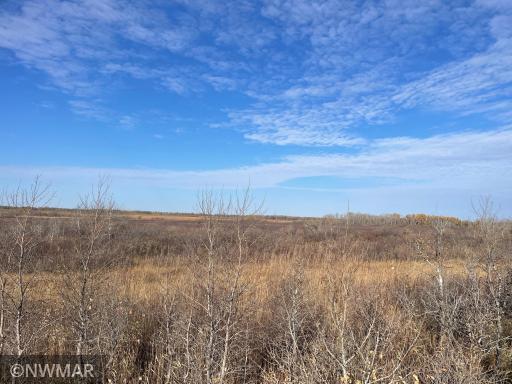 TBD 240th Street NW, Newfolden, MN 56738